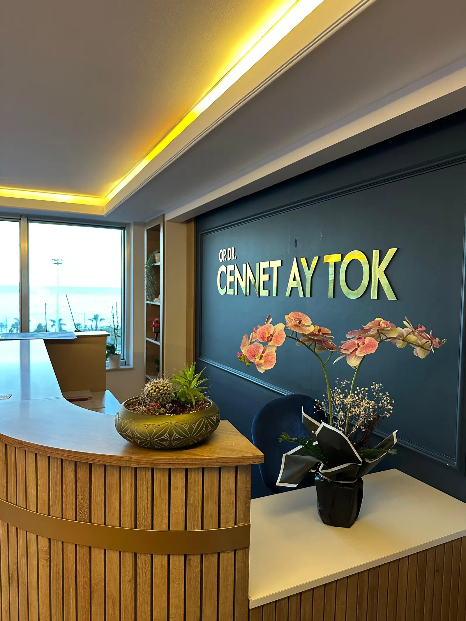 Op. Dr. Cennet Ay Tok