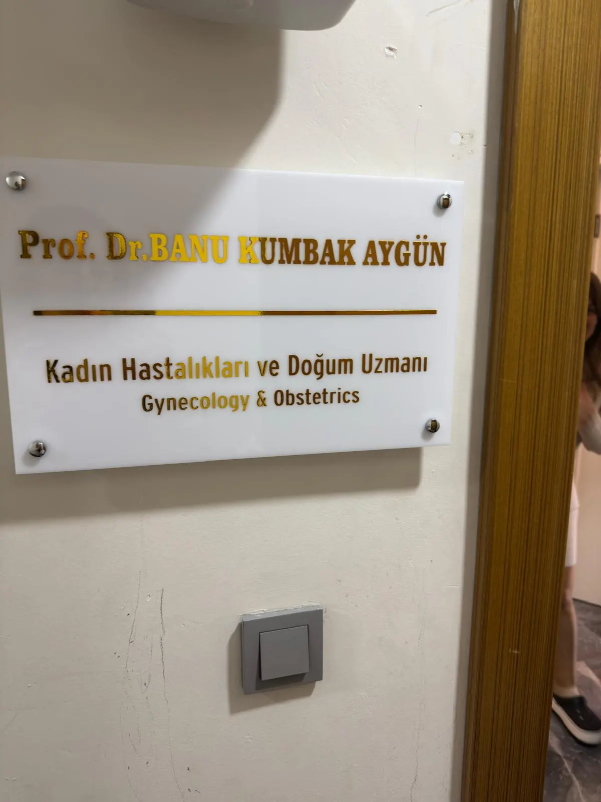 Prof. Dr. Hatice Banu Aygün Muayenehanesi