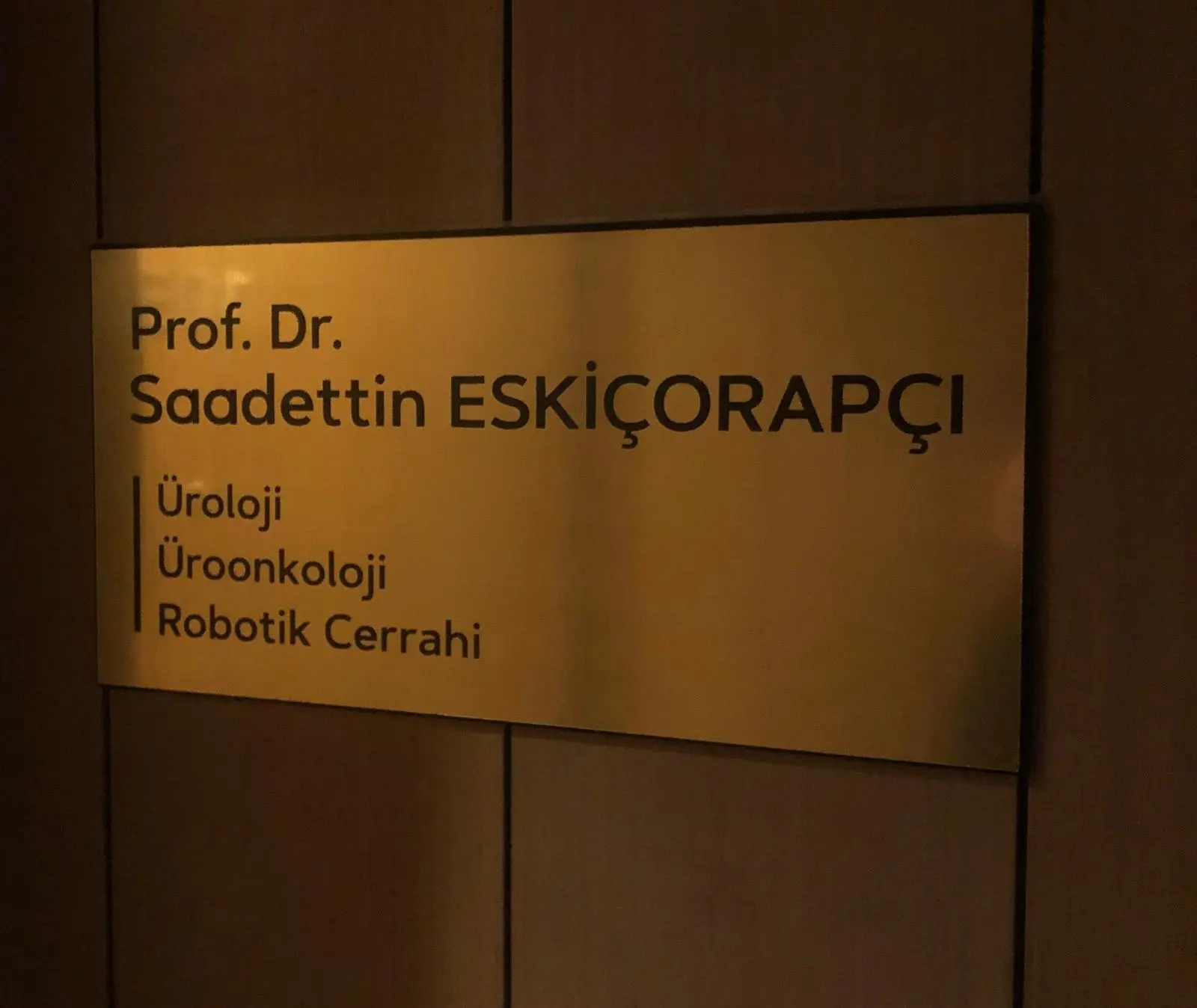 Prof. Dr. Saadettin Yılmaz Eskiçorapçı Muayenehanesi