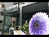 Özel Mayasante Polikliniği