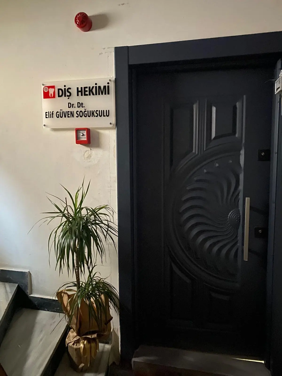 Dr. Dt. Elif Güven Soğuksulu Muayenehanesi