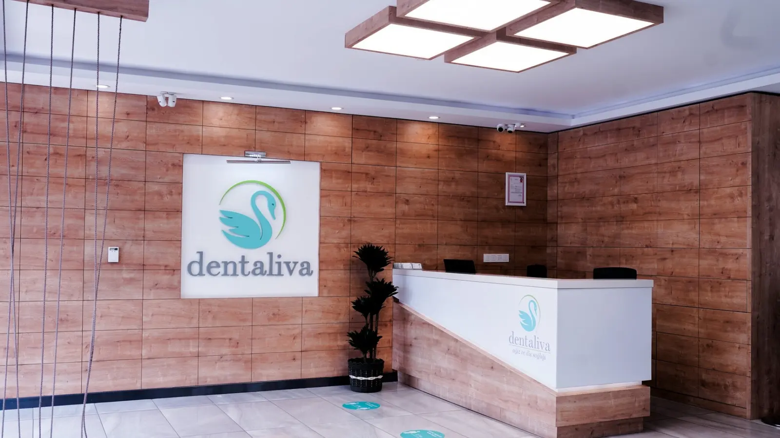 Özel Dentaliva Ağız ve Diş Sağlığı Polikliniği Altunizade Şubesi