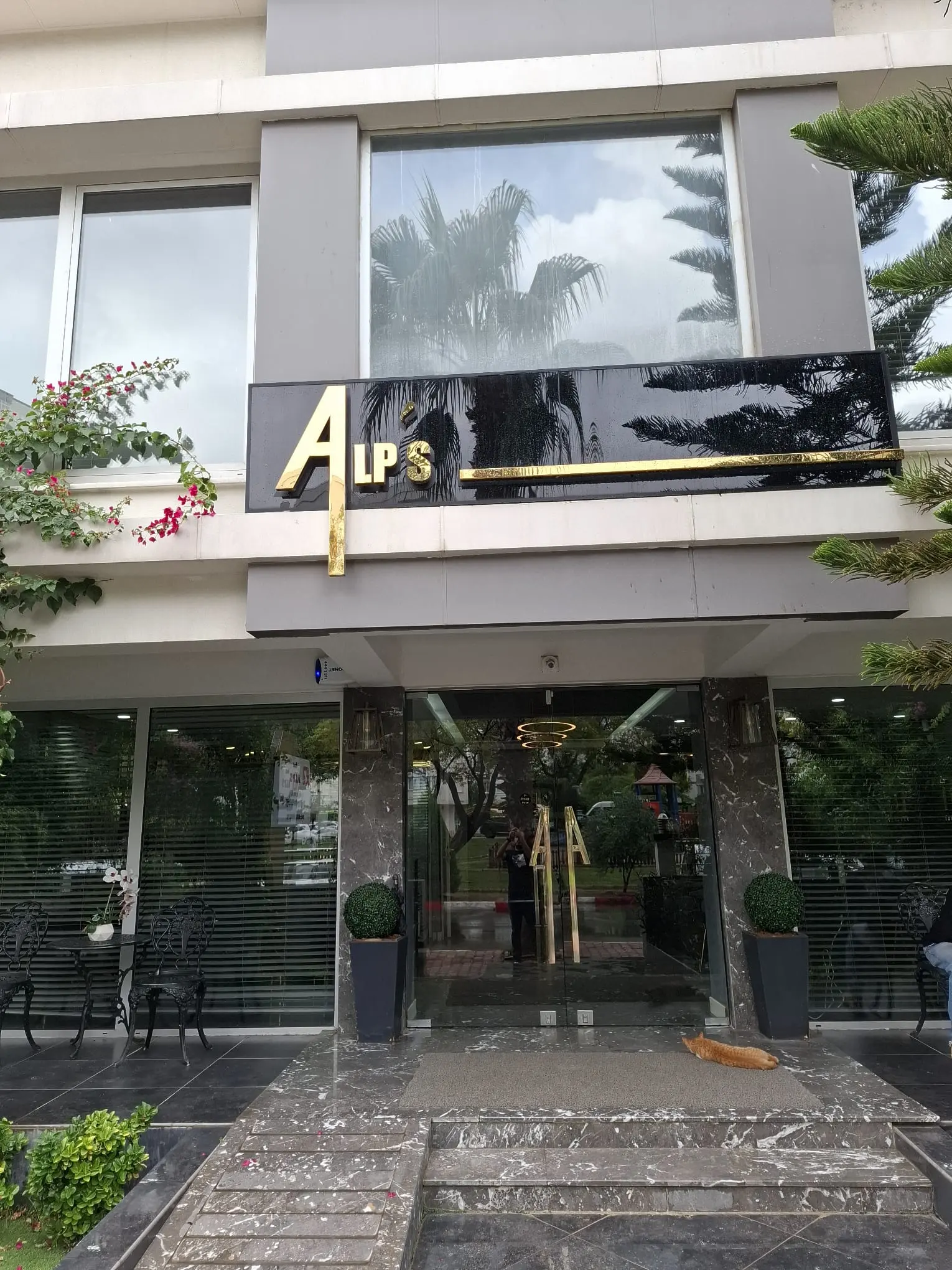 Özel Alp's Ağız ve Diş Sağlığı Polikliniği