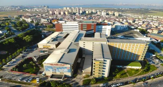 T.C. Sağlık Bakanlığı SBÜ İstanbul Mehmet Akif Ersoy Göğüs Kalp ve Damar Cerrahisi E.A.H.