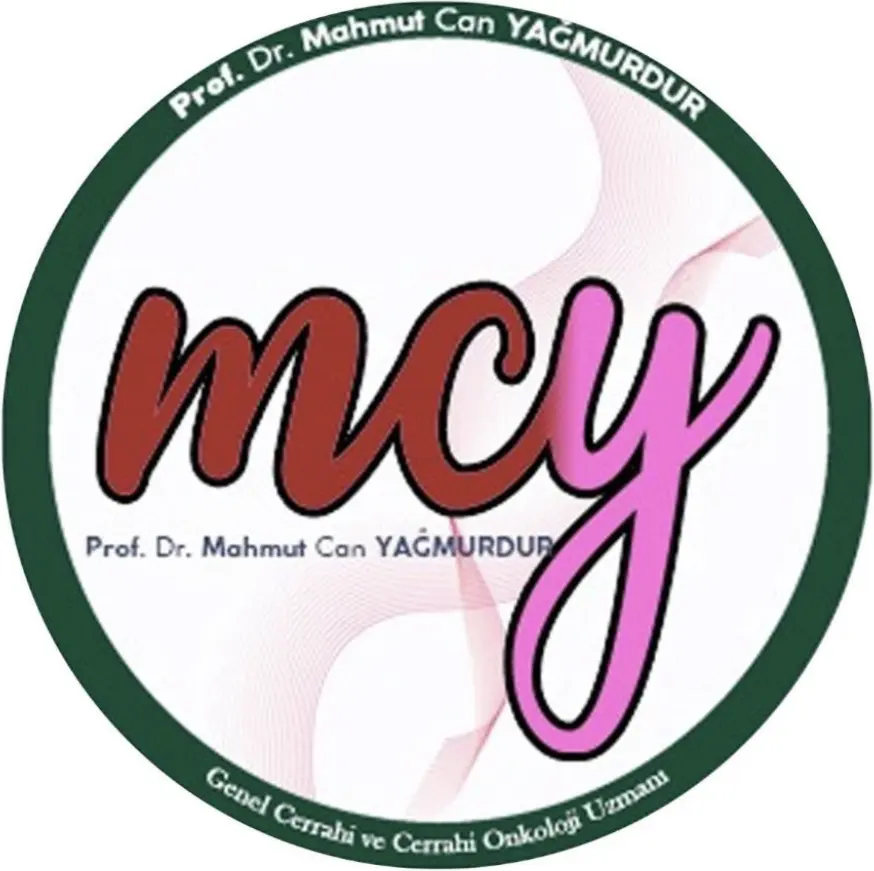 Logo von Prof. Dr. Mahmut Can Yağmurdur Muayenehanesi
