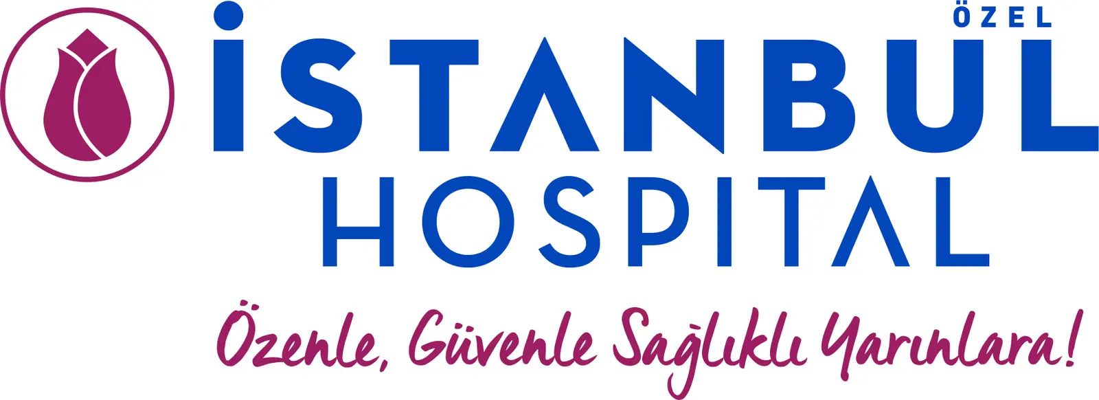 İstanbul Hospital logo