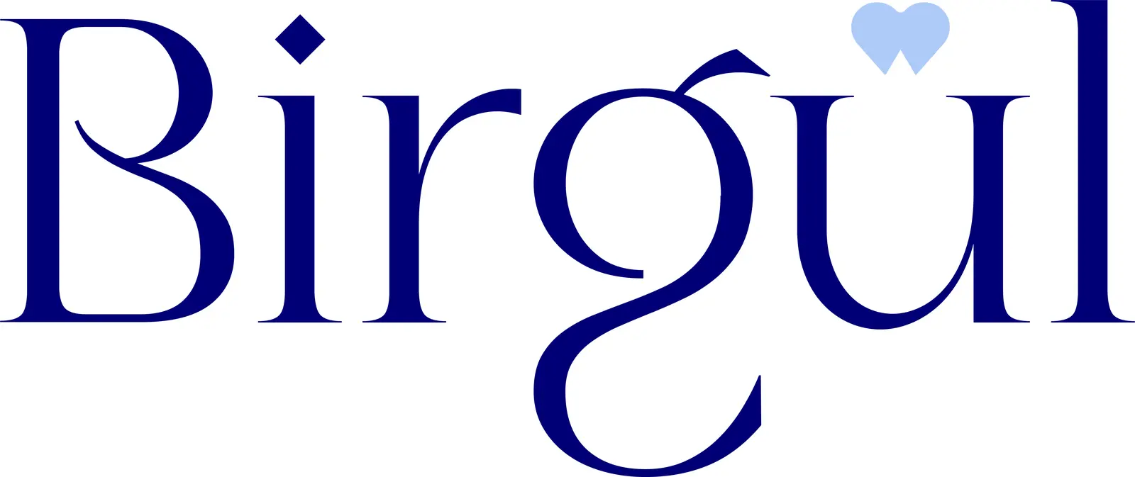 Özel Birgül ADSP logo