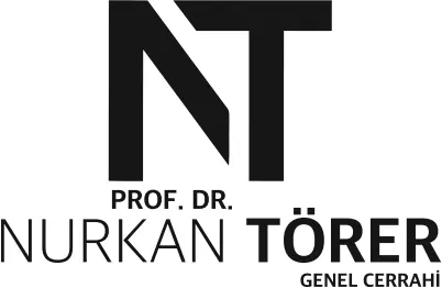 Logo von Prof. Dr. Nurkan Törer