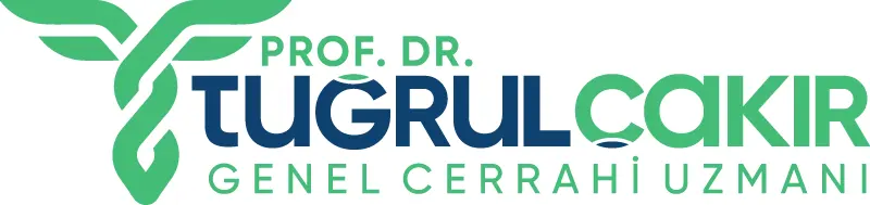 Logo von Prof. Dr. Tuğrul Çakır