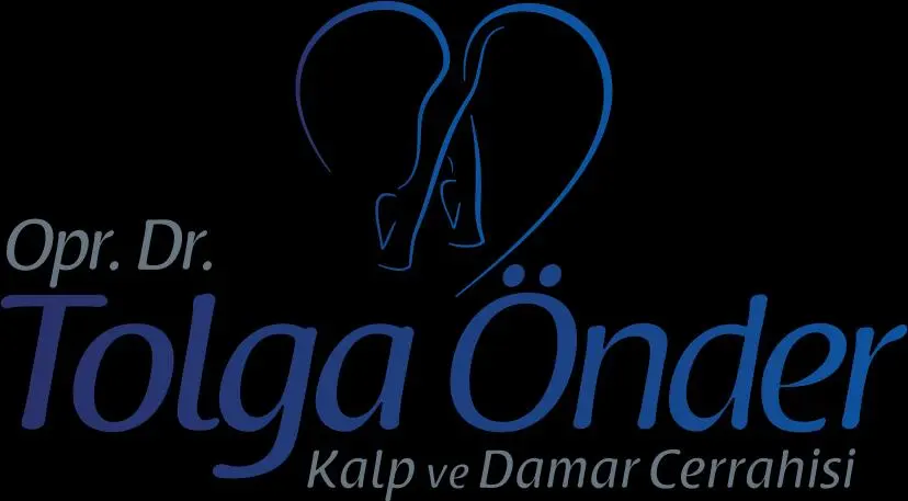 Logo von Varis Samsun
