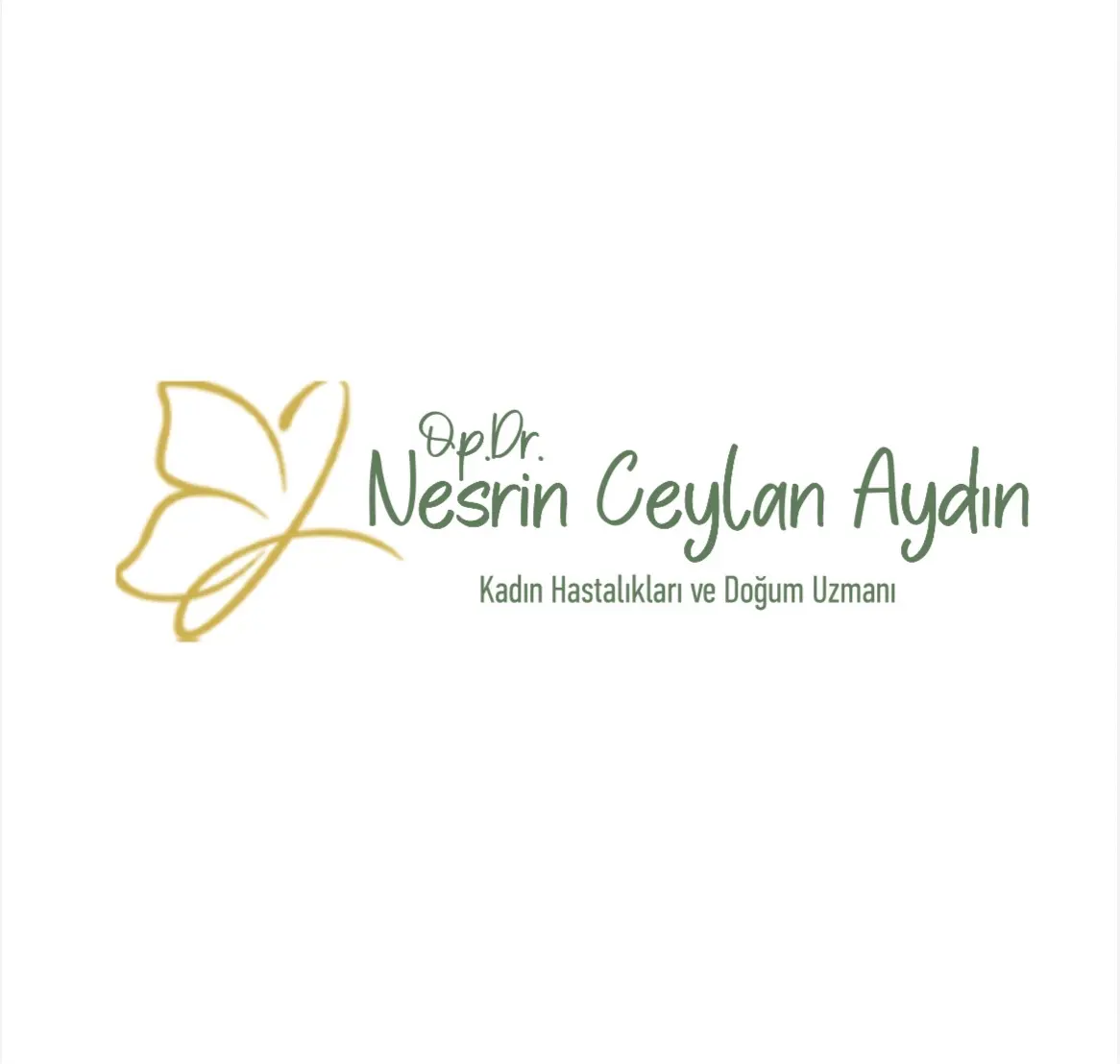 Logo von Op. Dr. Nesrin Ceylan Aydın