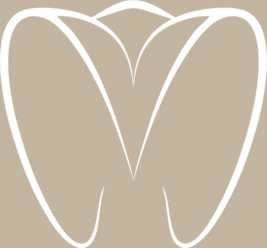 Özel Selam Ağız ve Diş Sağlığı Polikliniği logo