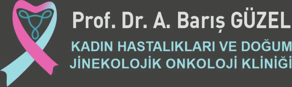 Logo von Prof. Dr. Ahmet Barış Güzel