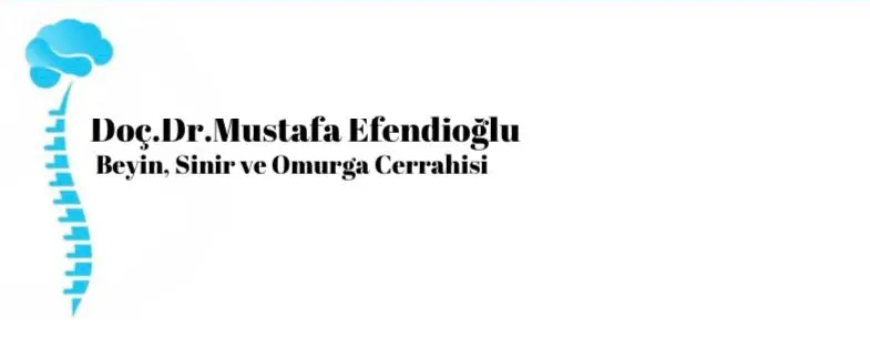 Logo von Prof. Dr. Mustafa Efendioğlu