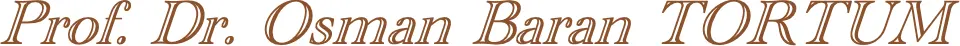 Logo von Prof. Dr. Osman Baran Tortum