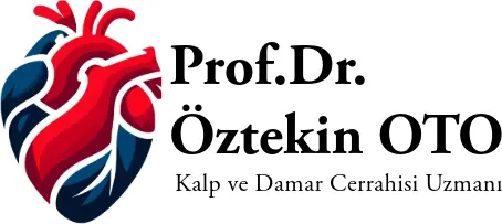 Prof. Dr. Öztekin Oto Muayenehanesi logo