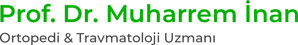 Logo von Prof. Dr. Muharrem İnan