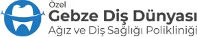Logo von Private Gebze Dental World
