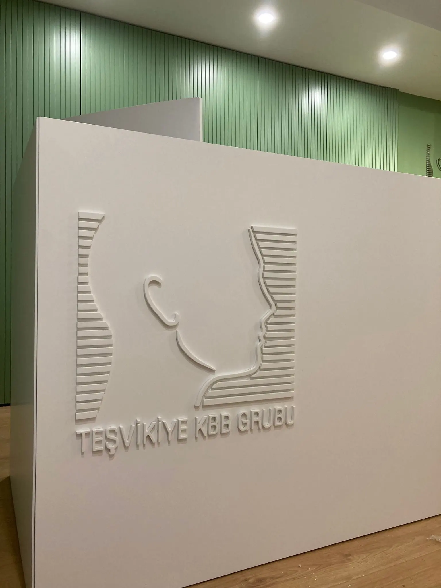 Prof. Dr. Elif Ayanoğlu Aksoy Muayenehanesi logo