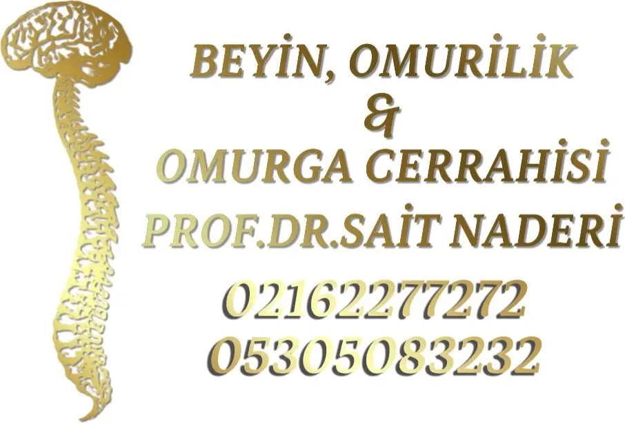 Op. Dr. Sait Naderi Muayenehanesi logo