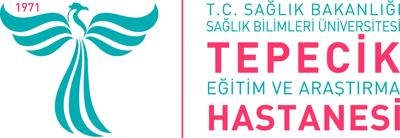 Logo von Tepecik Hospital
