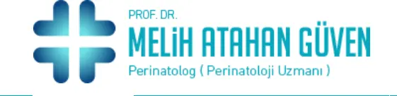 Logo von Prof. Dr. Melih Atahan Güven