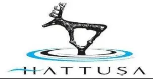 Hittite Ayas logo