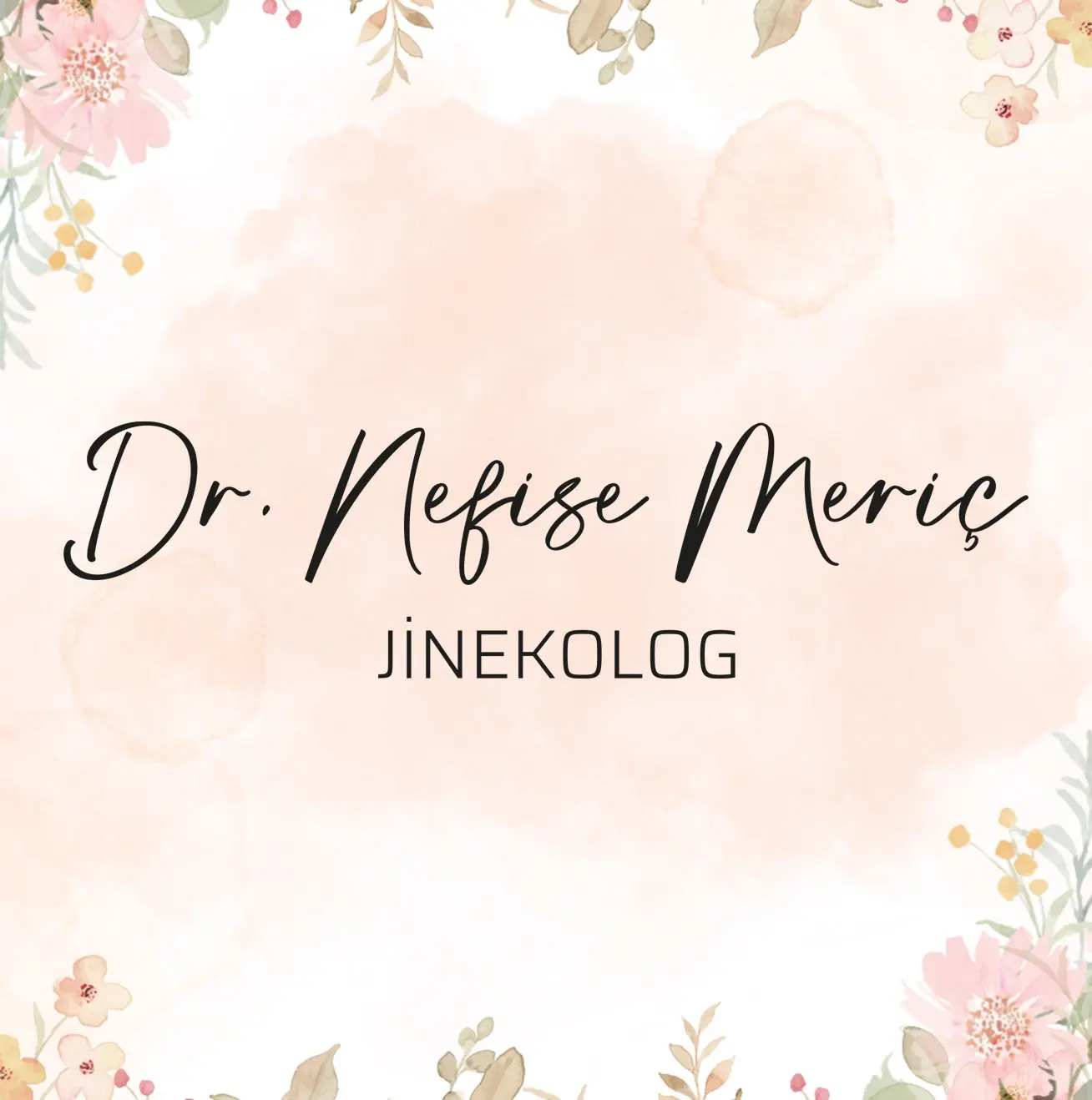 Op. Dr. Nefıze Rafet Merıch Muayenehanesi logo