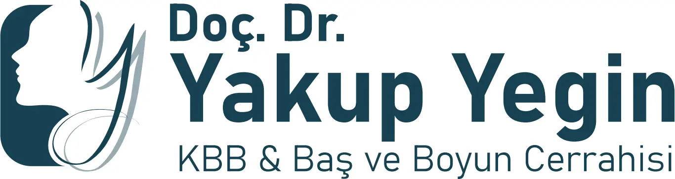 Logo von Prof. Dr. Yakup Yegin