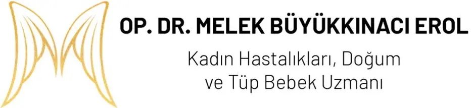 Antalya Tüp Bebek Tedavisi logo