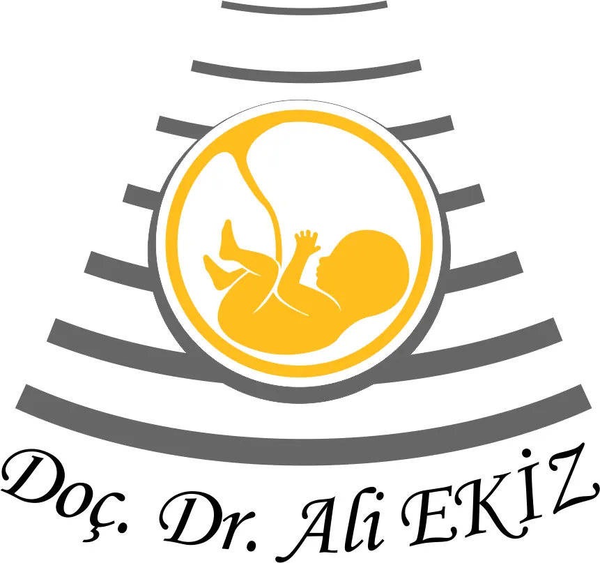Logo von Prof. Dr. Ali Ekiz