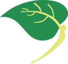 Logo von Natural Health