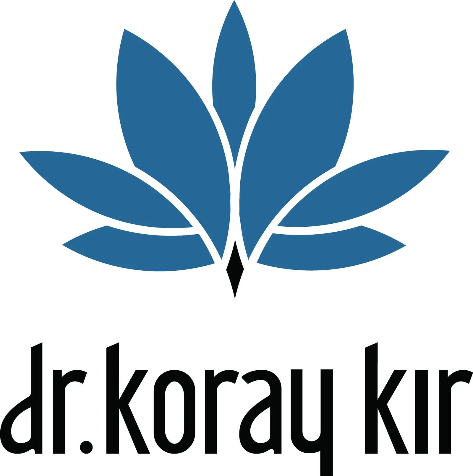 Dr. Koray Kır Clinic logo