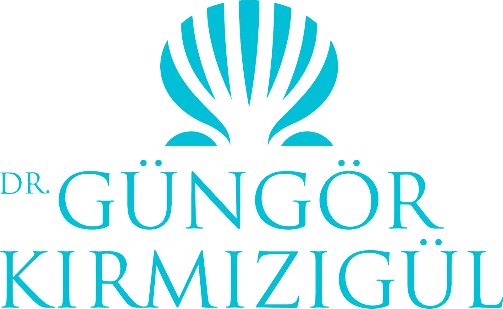 Dr. Güngör Kırmızıgül logo
