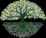 Prof. Dr. Vedat Erentuğ Muayenehanesi logo