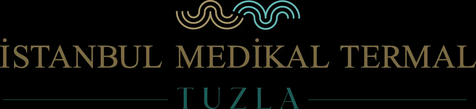 İstanbul Medikal Termal Otel Konaklamalı Fizik Tedavi ve Rehabilitasyon Merkezi logo