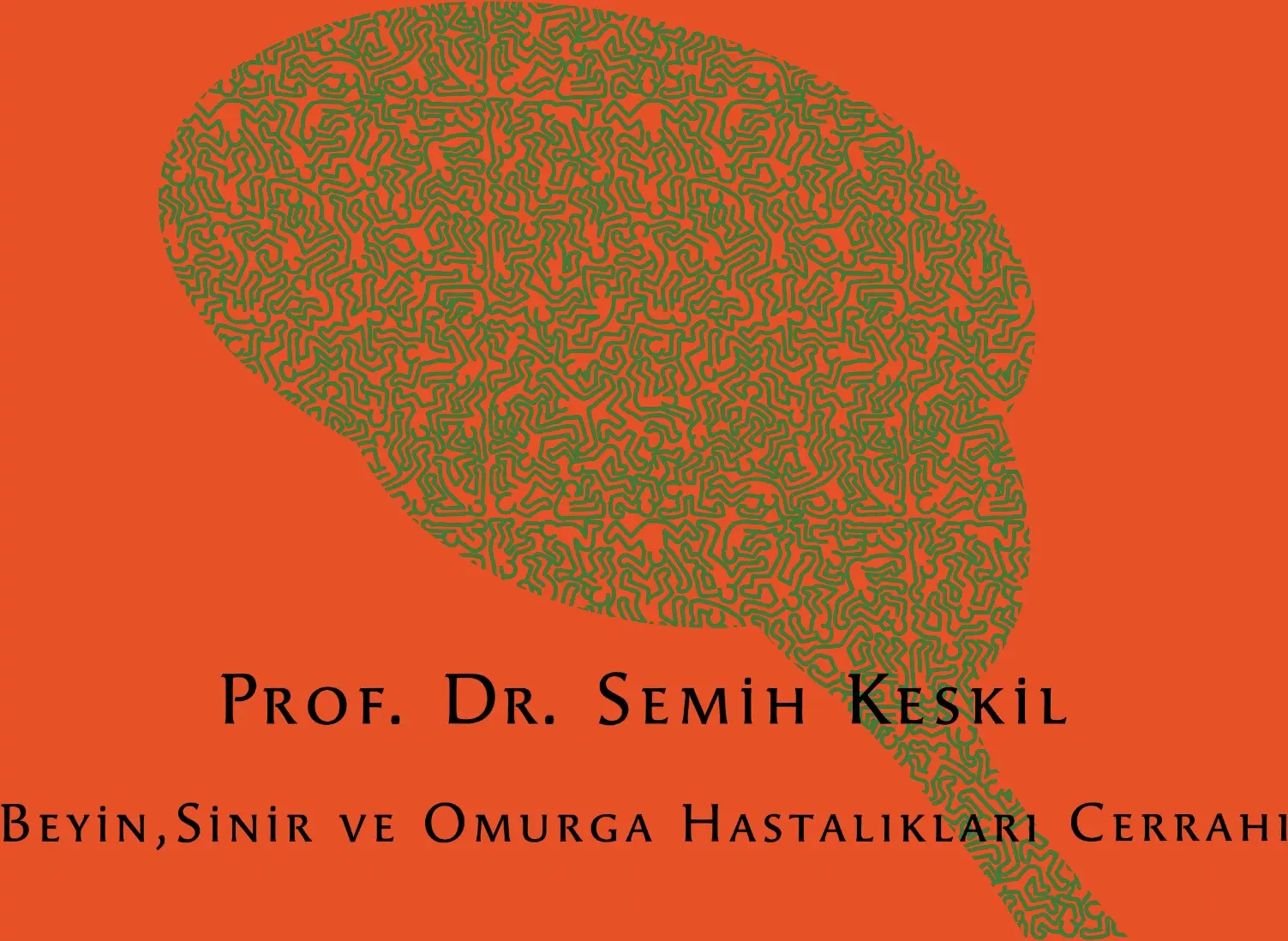 Logo von Brain Surgeon Prof. Semih Keskil