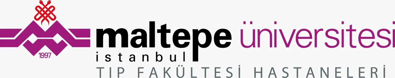 İstanbul Maltepe Üniversitesi Tıp Fakültesi Hastanesi logo