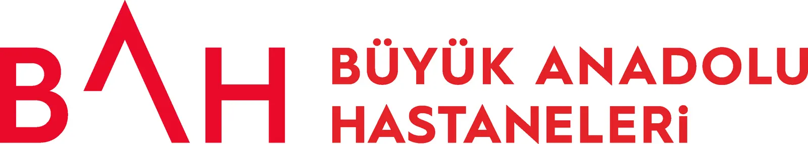 Özel Samsun Büyük Anadolu Hastanesi logo
