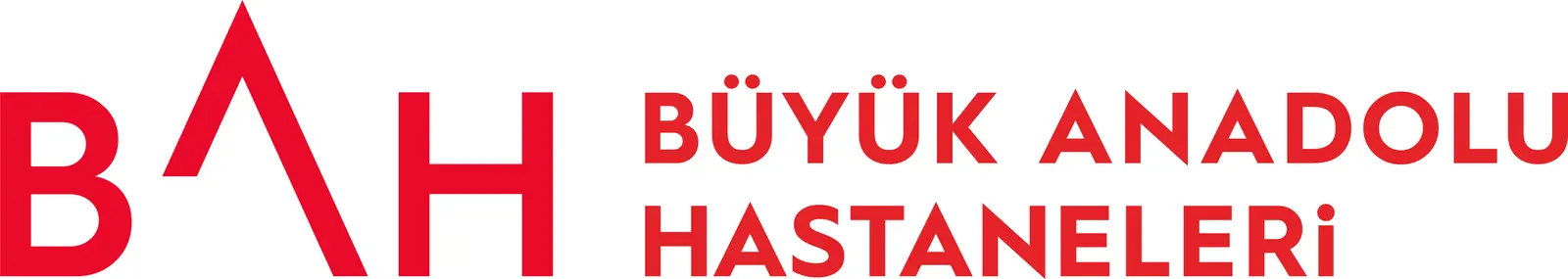 Logo von Buyuk Anadolu Hospital