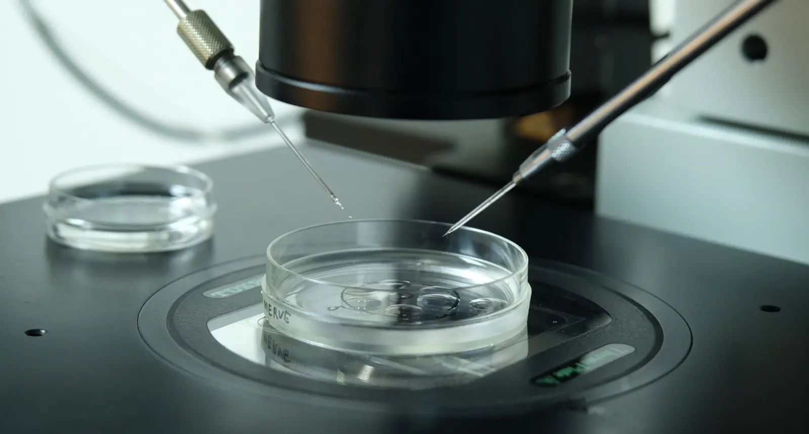 Antalya IVF