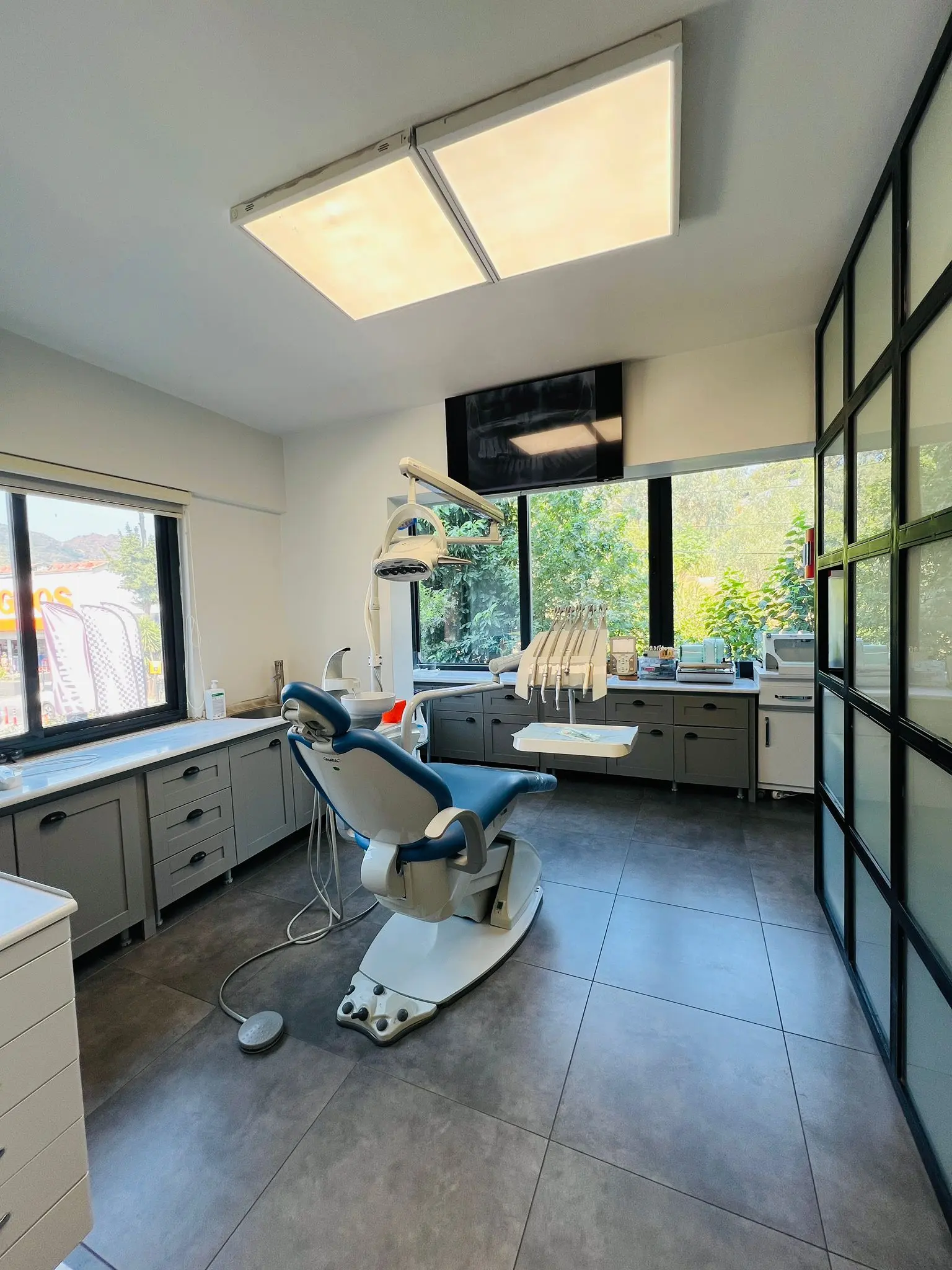 Dentist Erhan Ertik