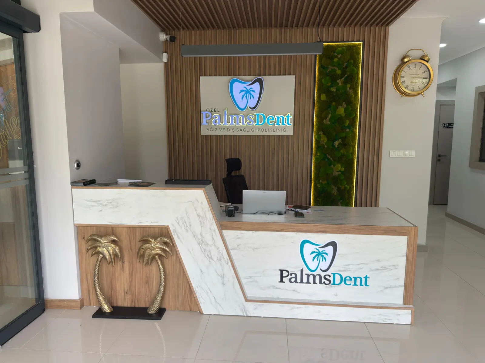Palms Dent