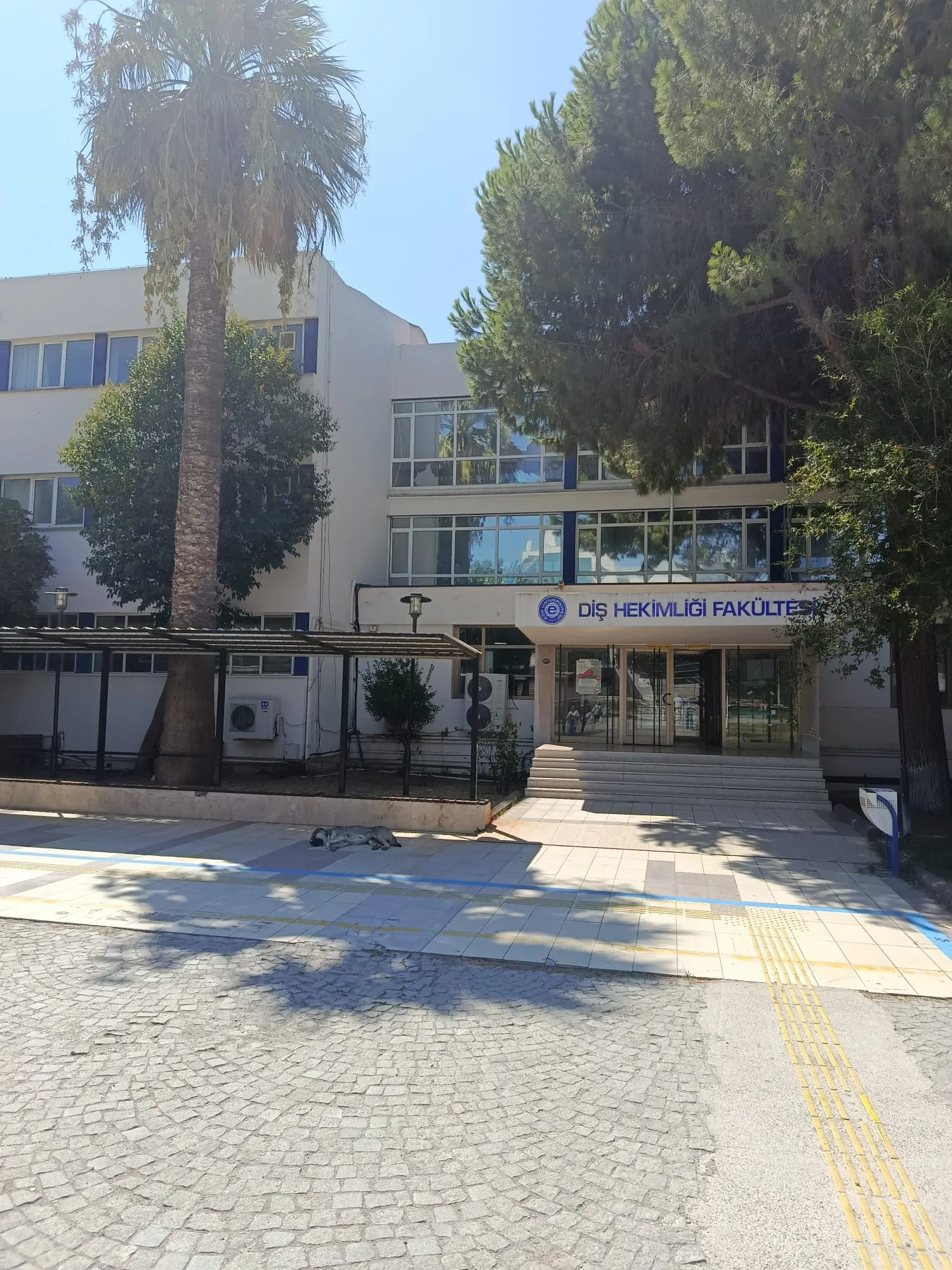 Ege University Faculty of Dentistry