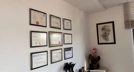 Prof. Dr. Süheyl Haytoğlu