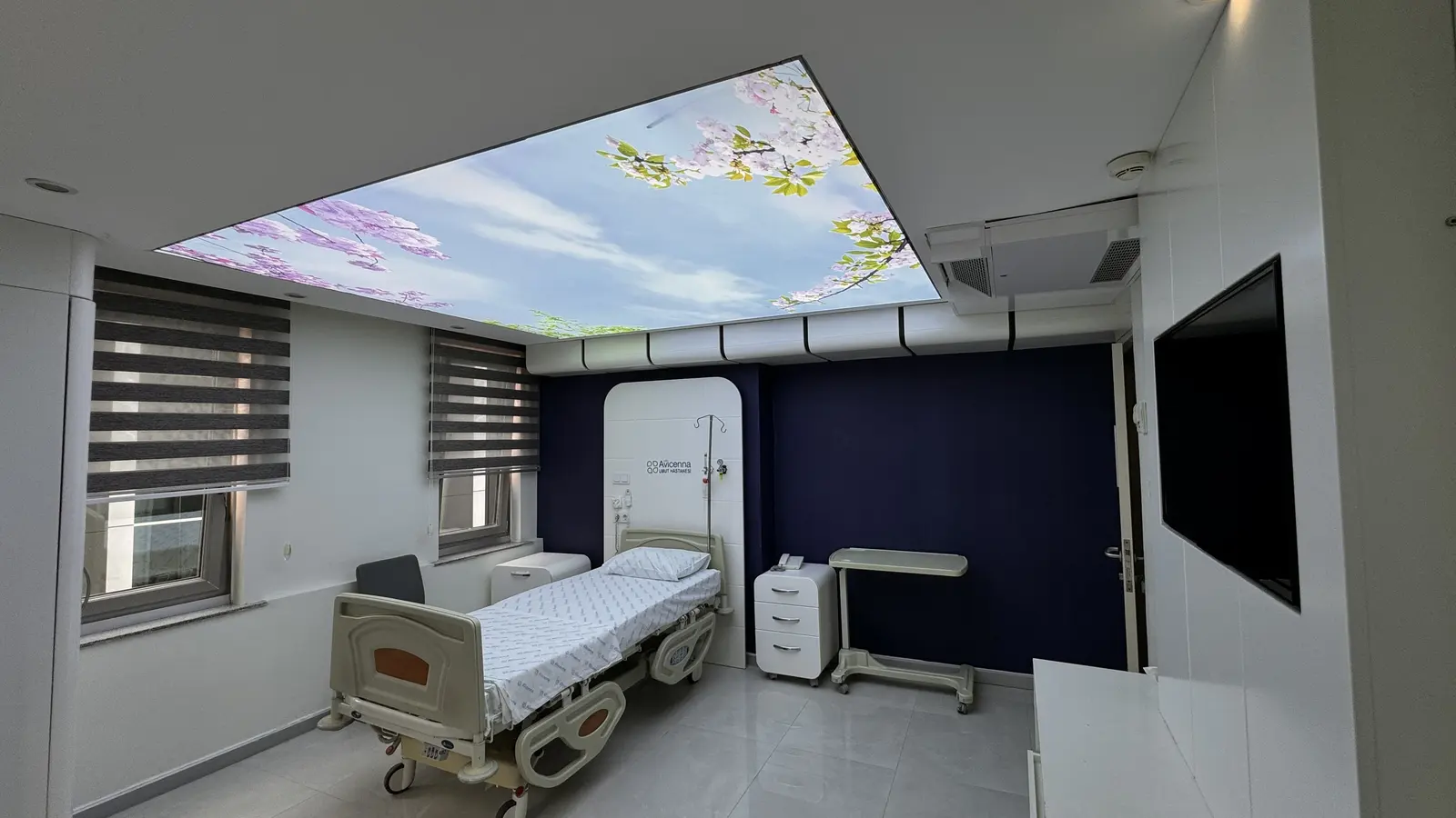 Avicenna Umut Hospital