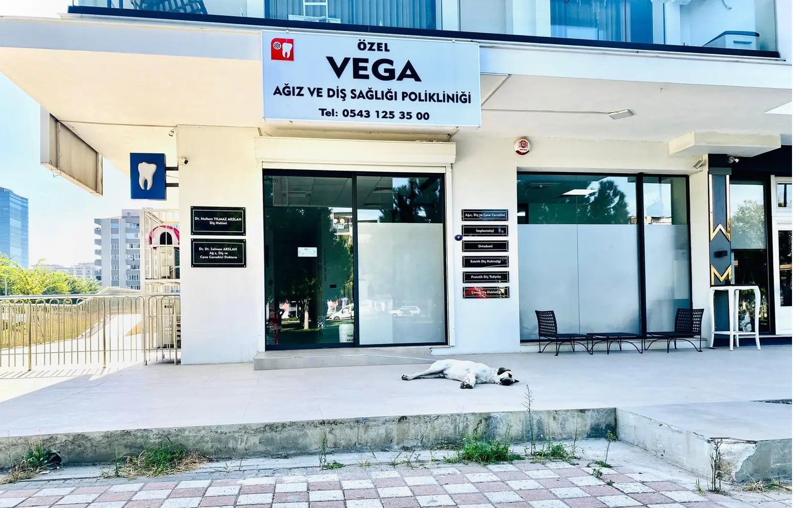 Özel Vega Ağız ve Diş Sağlığı Polikliniği