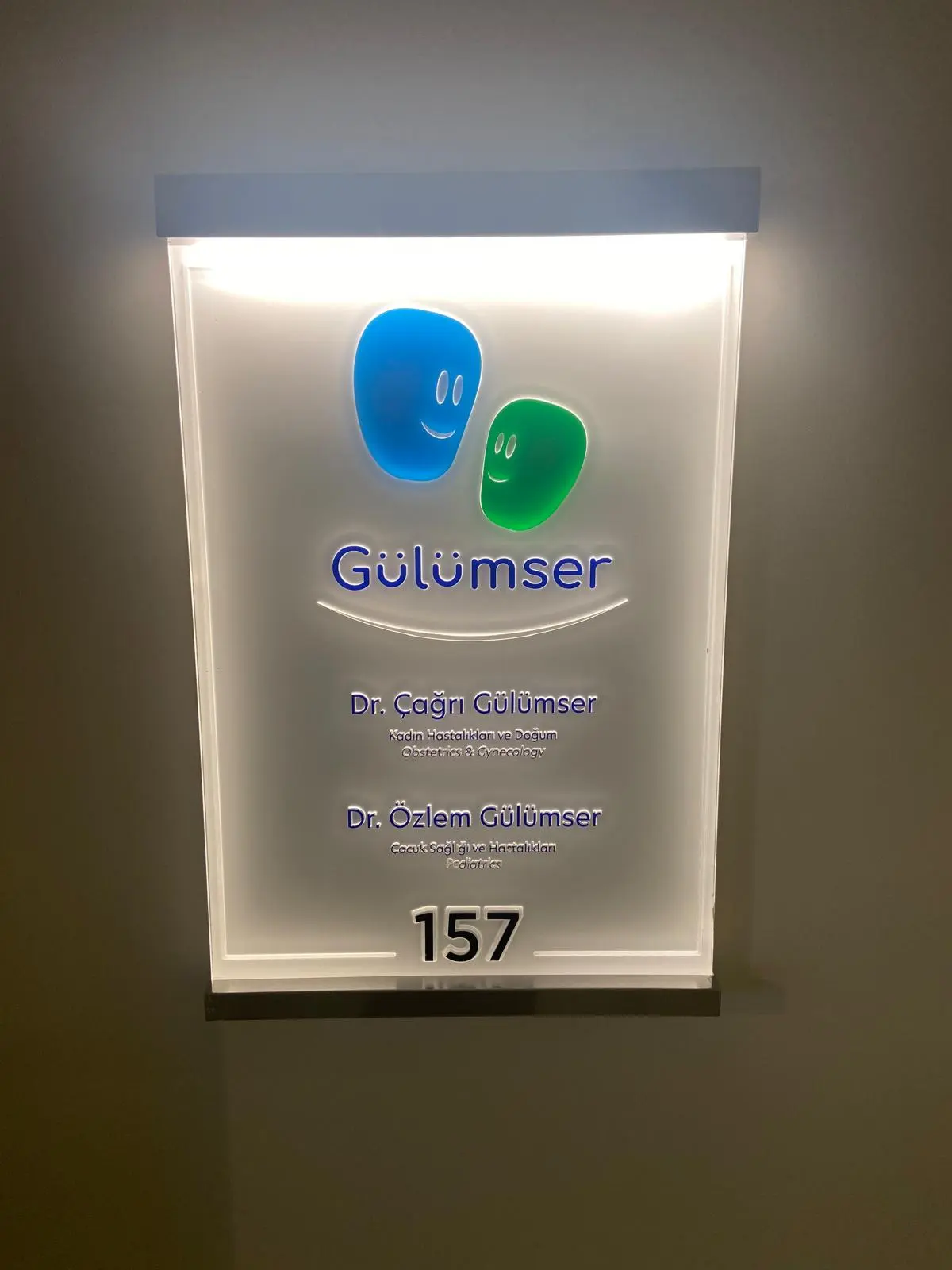 Prof. Dr. Çağrı Gülümser