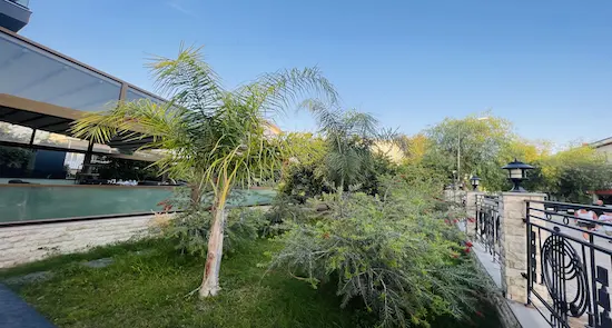 Özel Dentagon Ağız ve Diş Sağlığı Polikliniği