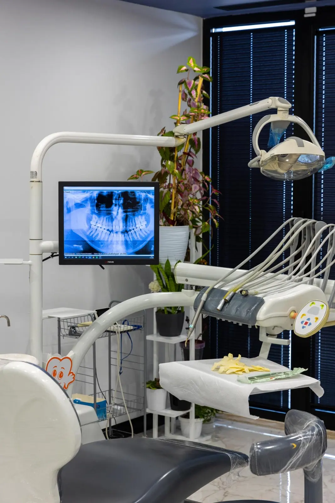 Private Gebze Dental World
